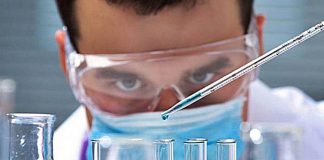 Salud: científicos logran curar la diabetes de ratones con un nuevo método – Fayerwayer