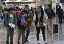 ¿Comer ajo evita el coronavirus? Mitos y verdades de la enfermedad – El Heraldo de México