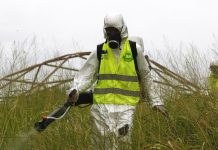 El nerviosismo mediático en Argentina se desata por el coronavirus, ¿pero por qué no se habla de dengue y sarampión? – RT en Español