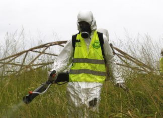 El nerviosismo mediático en Argentina se desata por el coronavirus, ¿pero por qué no se habla de dengue y sarampión? – RT en Español