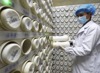 Profesor de Harvard: en un año, el 70% del mundo estará infectado con coronavirus – Enlace Judío