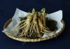 Qué es el ginseng: propiedades, usos y beneficios a la salud | El Universal – El Universal