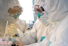 Coronavirus: Tamaulipas en alerta por los 30 contagios en Texas – Milenio.com