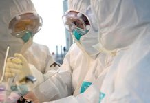 Medicina Biológica Mexicana ayudaría en contingencia por coronavirus – Milenio.com