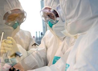 Medicina Biológica Mexicana ayudaría en contingencia por coronavirus – Milenio.com