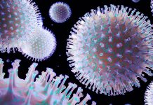 Confirman un total de 74 muertes por influenza en San Diego – Telemundo San Diego