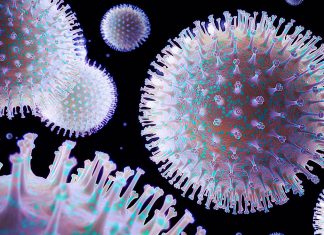 Confirman un total de 74 muertes por influenza en San Diego – Telemundo San Diego