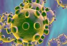 ¿Qué es el coronavirus y cuáles son sus síntomas? – El Tiempo de México