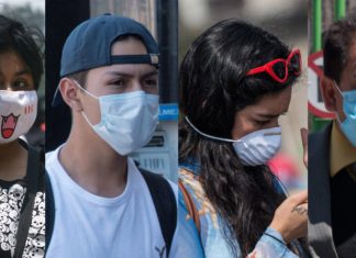 Comer ajo, riesgo por mascotas y antibióticos: mitos del coronavirus – Político.mx