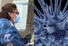 ¿Qué es la cloroquina? La medicina que podría ser la cura del coronavirus – Heraldo de México