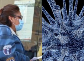 ¿Qué es la cloroquina? La medicina que podría ser la cura del coronavirus – Heraldo de México