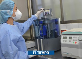 Alerta en Risaralda por dos casos de muerte tras presunto dengue – El Tiempo
