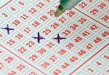 Trabador de supermercado de 22 años se gana el mayor premio de la historia con boleto de lotería que compró en su trabajo – La Opinión