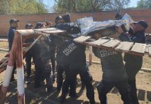 Policías reciben curso de medicina táctica – Plano informativo