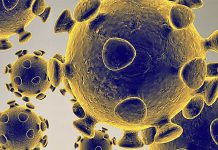 Es oficial: dos casos de coronavirus en México; ve recomendaciones – Uno TV Noticias