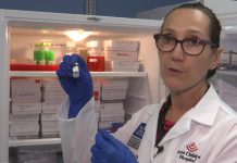 En Houston se gesta vacuna contra el coronavirus – Telemundo Houston