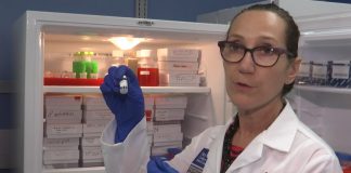 En Houston se gesta vacuna contra el coronavirus – Telemundo Houston