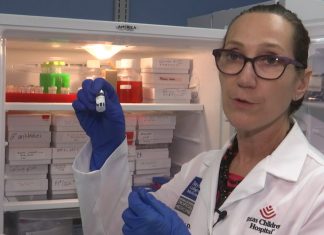 En Houston se gesta vacuna contra el coronavirus – Telemundo Houston