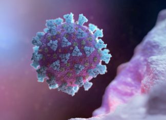 La autopsia a un fallecido por el coronavirus revela los daños que genera esa enfermedad – RT en Español