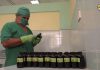 Se incrementa en Granma producción de medicamentos de medicina natural y tradicional|CNC – CNC TV Granma