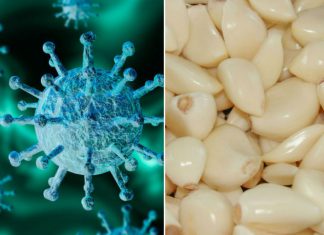 5 alimentos que fortalecen tus defensas y ayudan a combatir el coronavirus – Excélsior