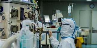 ¡Que no panda el cúnico! Vea por qué el COVID-19 difícilmente matará a la humanidad – Noticias Caracol