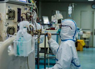 ¡Que no panda el cúnico! Vea por qué el COVID-19 difícilmente matará a la humanidad – Noticias Caracol