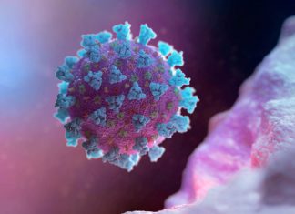 Autopsia a muerto por coronavirus revela los daños que genera la enfermedad – El Diario de Chihuahua