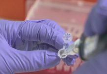 Reportan cuatro posibles nuevos casos de coronavirus en Estados Unidos – Noticieros Televisa