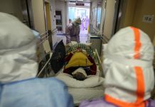 Coronavirus hoy: La OMS declara pandemia el coronavirus – CNN México.com