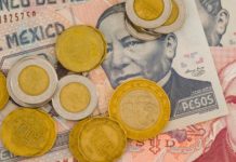 Peso cae a nuevo mínimo histórico; Bolsa Mexicana se hunde 5% – Noticieros Televisa