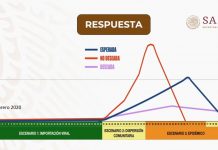 Los escenarios de contagios del coronavirus en México: cuándo llegará la segunda fase – infobae