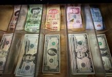 Precio del dólar hoy viernes 13 de marzo de 2020, tipo de cambio – Milenio