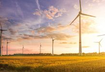 El coronavirus interrumpe la cadena de suministro global de energía renovable – Noticias de Israel