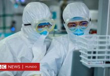 Coronavirus: ¿qué le hace el covid-19 a tu cuerpo? – BBC News Mundo