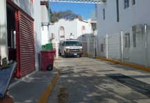 Adulto mayor que fue atropellado muere en nosocomio – Linea Directa