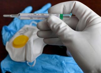 México podría entrar en Fase 2 de coronavirus – DEBATE