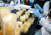 Coronavirus en IL: confirman 4 casos y 286 personas bajo revisión – Telemundo Chicago