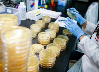 Coronavirus en IL: confirman 4 casos y 286 personas bajo revisión – Telemundo Chicago