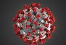 El calor no mata al coronavirus, alerta la OMS – Excélsior