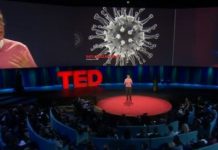 En 2015, Bill Gates advirtió que un virus podría causar una catástrofe global – El Diario de Yucatán