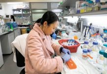 Desarrollan medicamentos y vacunas contra Covid-19 | El Universal – El Universal