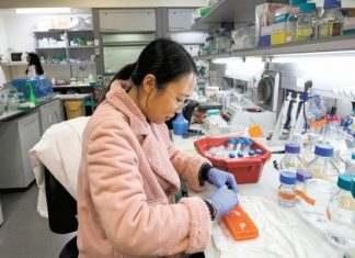 Desarrollan medicamentos y vacunas contra Covid-19 | El Universal – El Universal