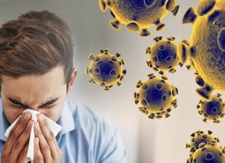 Coronavirus. En EU, avalan prueba automatizada de Roche para Covid-19 – Milenio