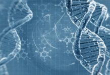 Medicina a medida del siglo 21: factores de riesgo y genoma humano – TN – Todo Noticias