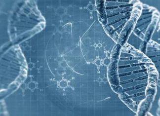 Medicina a medida del siglo 21: factores de riesgo y genoma humano – TN – Todo Noticias