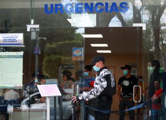 Los casos de coronavirus en México llegan a 82, informa Salud – Expansión