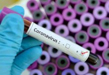 Primer paciente con coronavirus reportado en México fue dado de alta – Vanguardia.com.mx