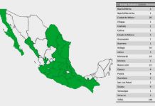 Chihuahua absolutamente libre de coronavirus y sin sospechas: Salud – Puente Libre La Noticia Digital