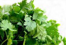 Lo que una taza de té de cilantro hará por tu salud – La Opinión